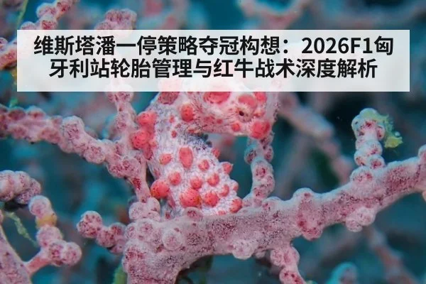 维斯塔潘一停策略夺冠构想:2026F1匈牙利站轮胎管理与红牛战术深度解析